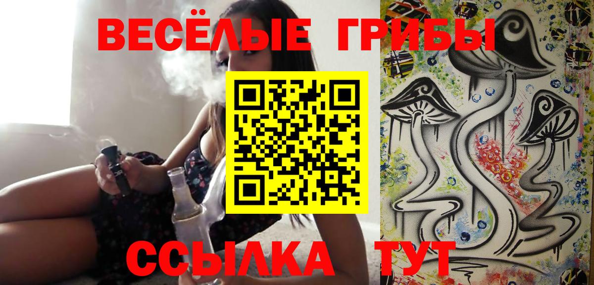 Псилоцибиновые грибы прущие грибы Гатчина