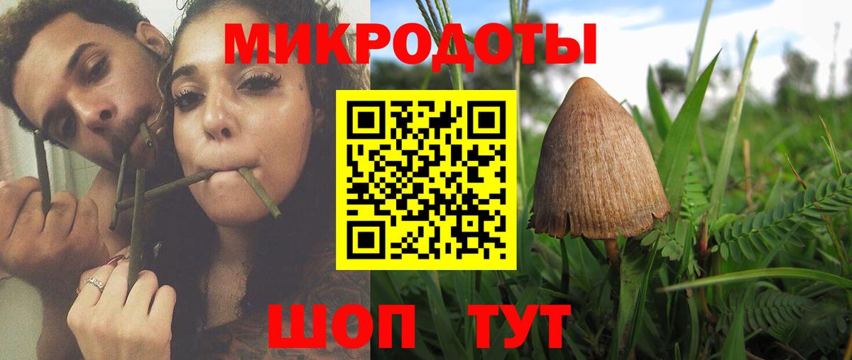 Гатчина  Псилоцибиновые грибы Magic Shrooms  Вход с VPN 